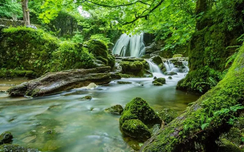 独特高质量创意